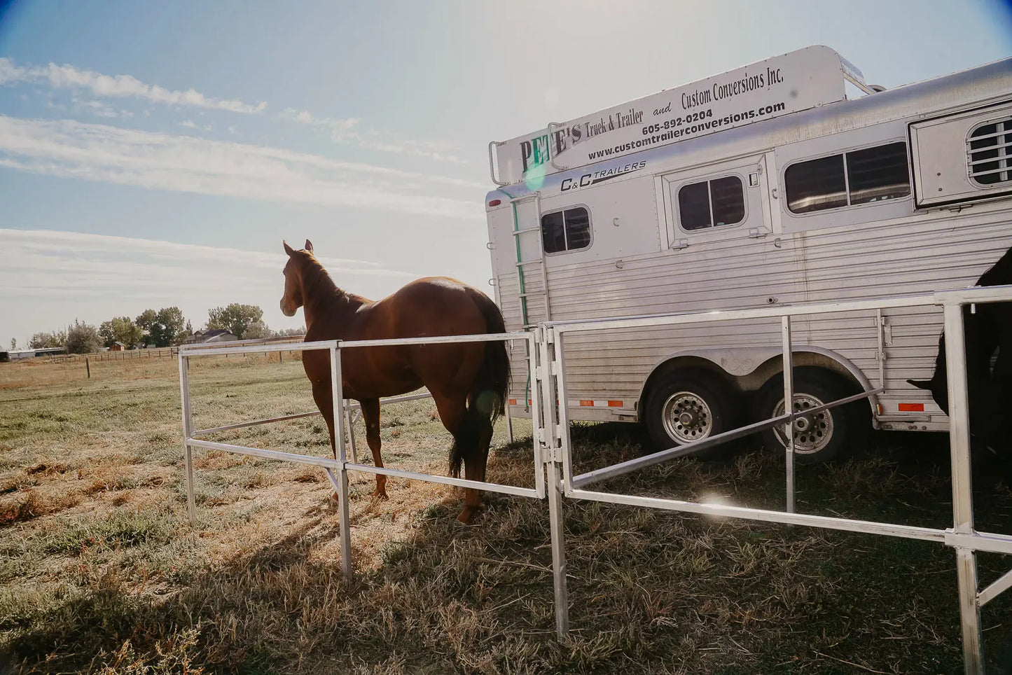 Equine Travel Panels